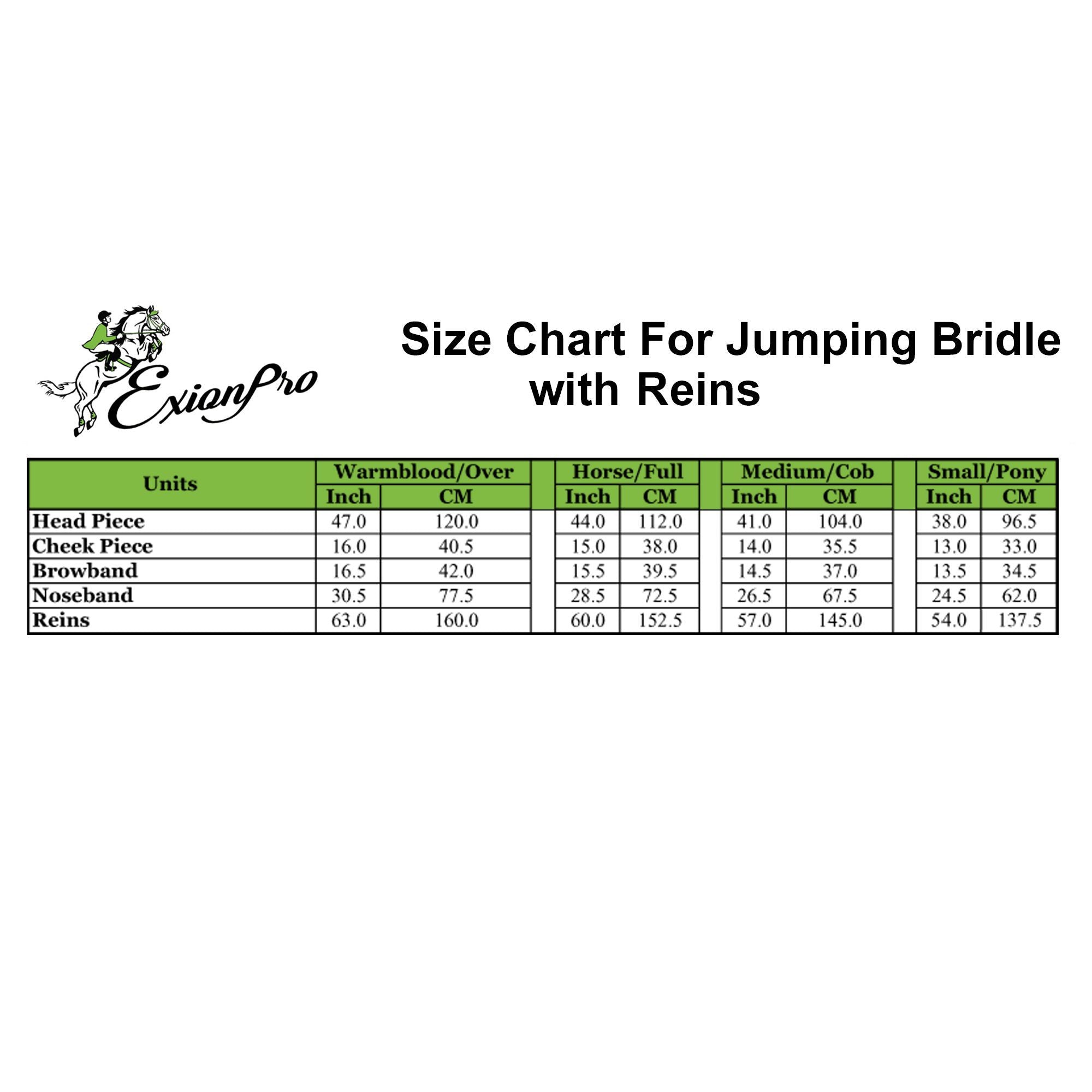 Image of ExionPro Fancy Stitched Raised Anatomical Bridle with Rubber Reins