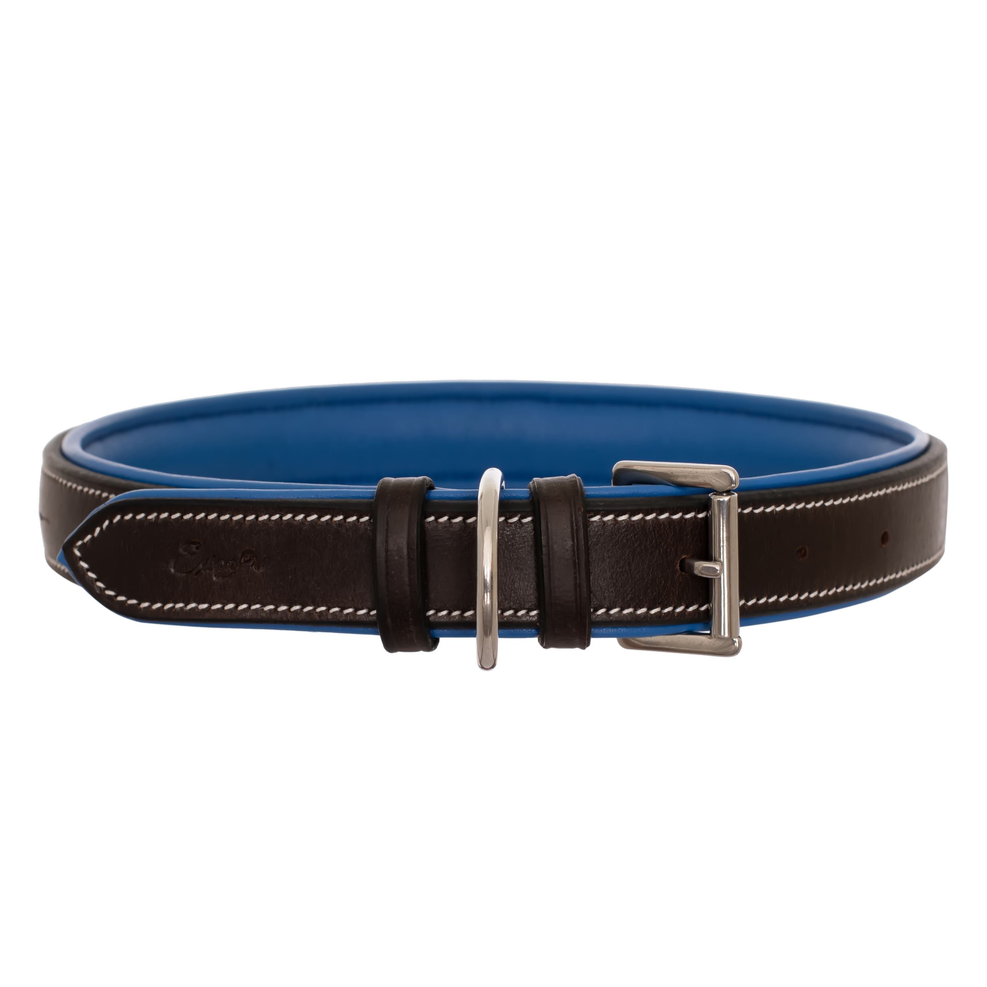 Image of ExionPro Fancy Stitched Padded Leather Dog Collar - Blue Padding