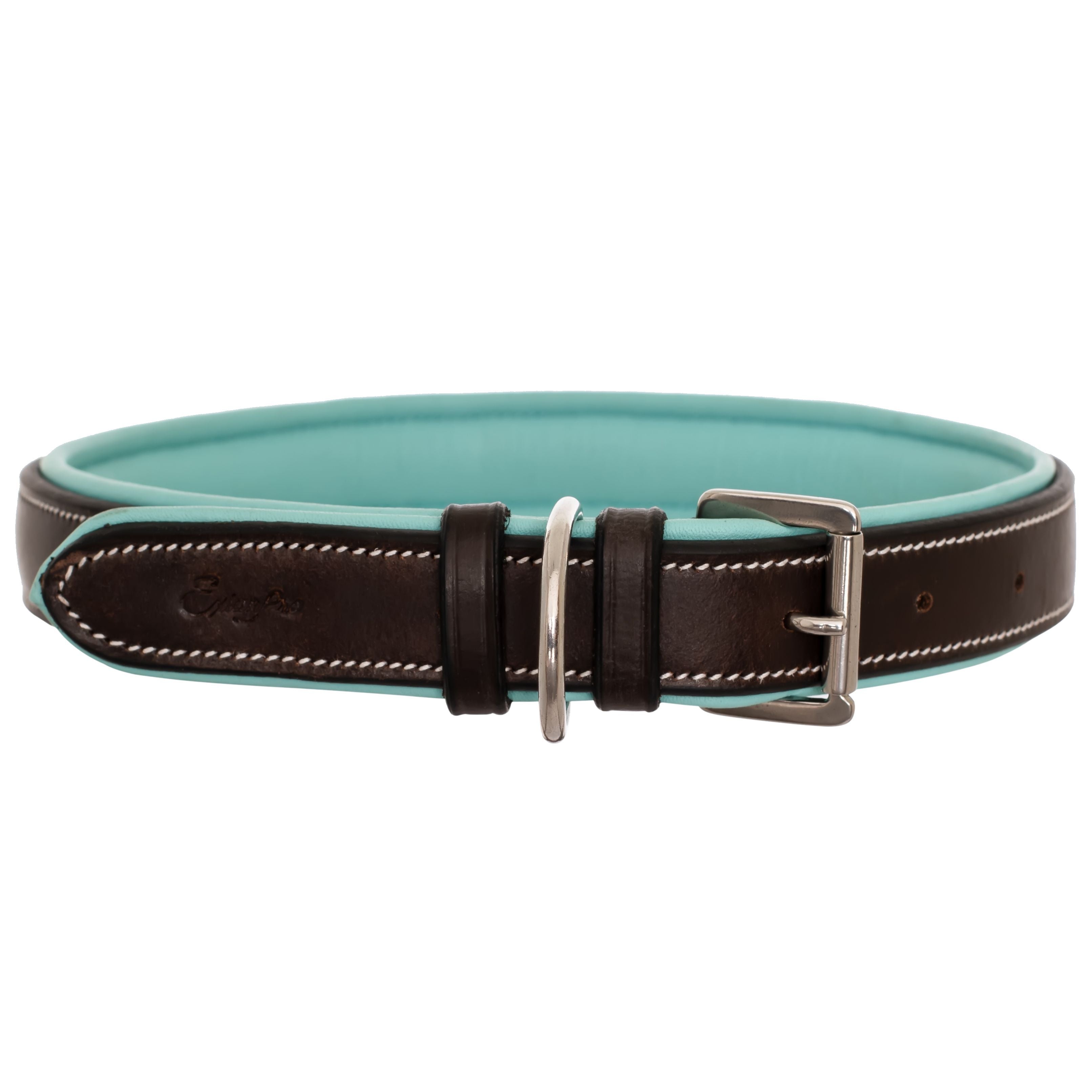 ExionPro Fancy Stitched Padded Leather Dog Collar - Sky Blue Padding