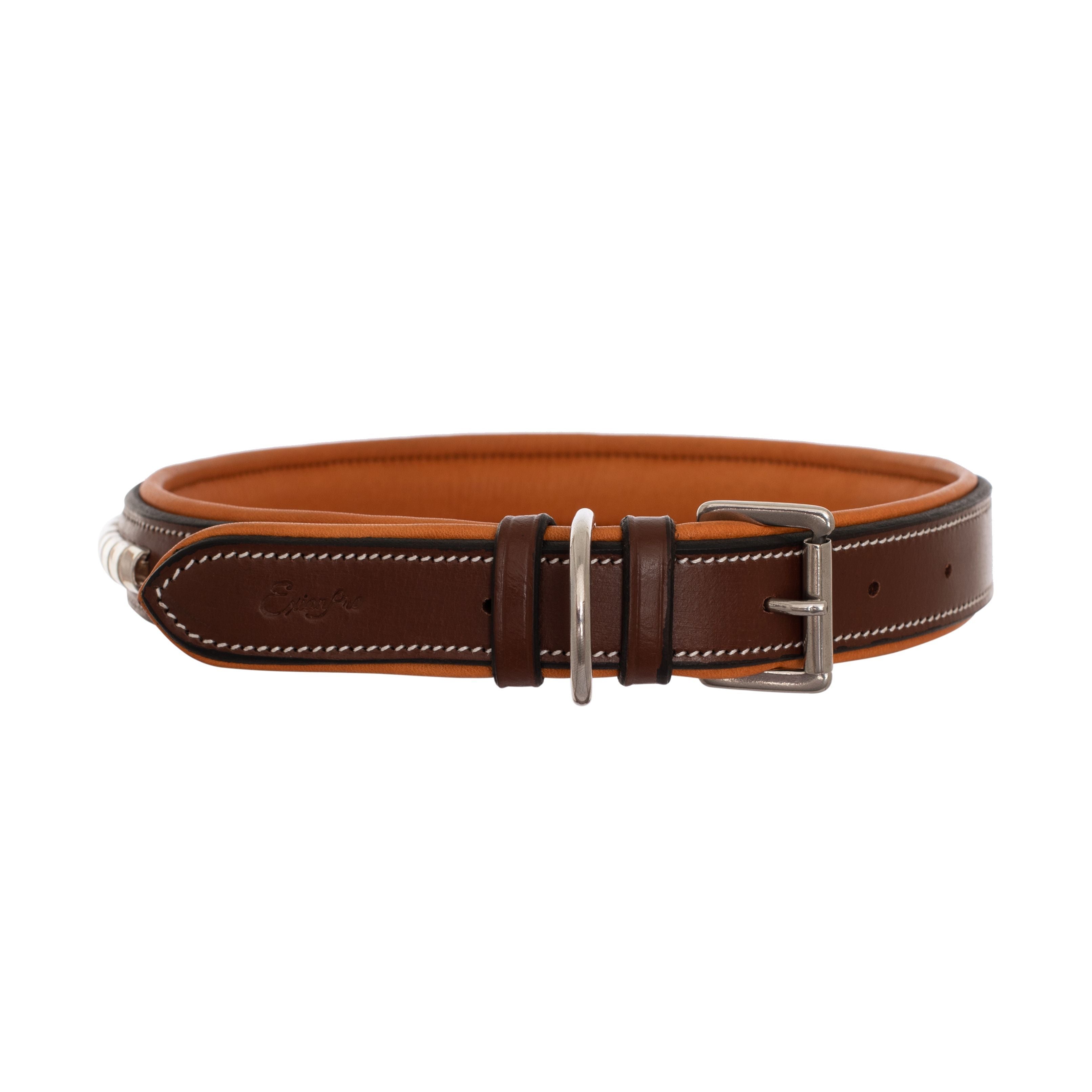 Image of ExionPro Silver Clincher Padded Leather Dog Collar - Conker Padding