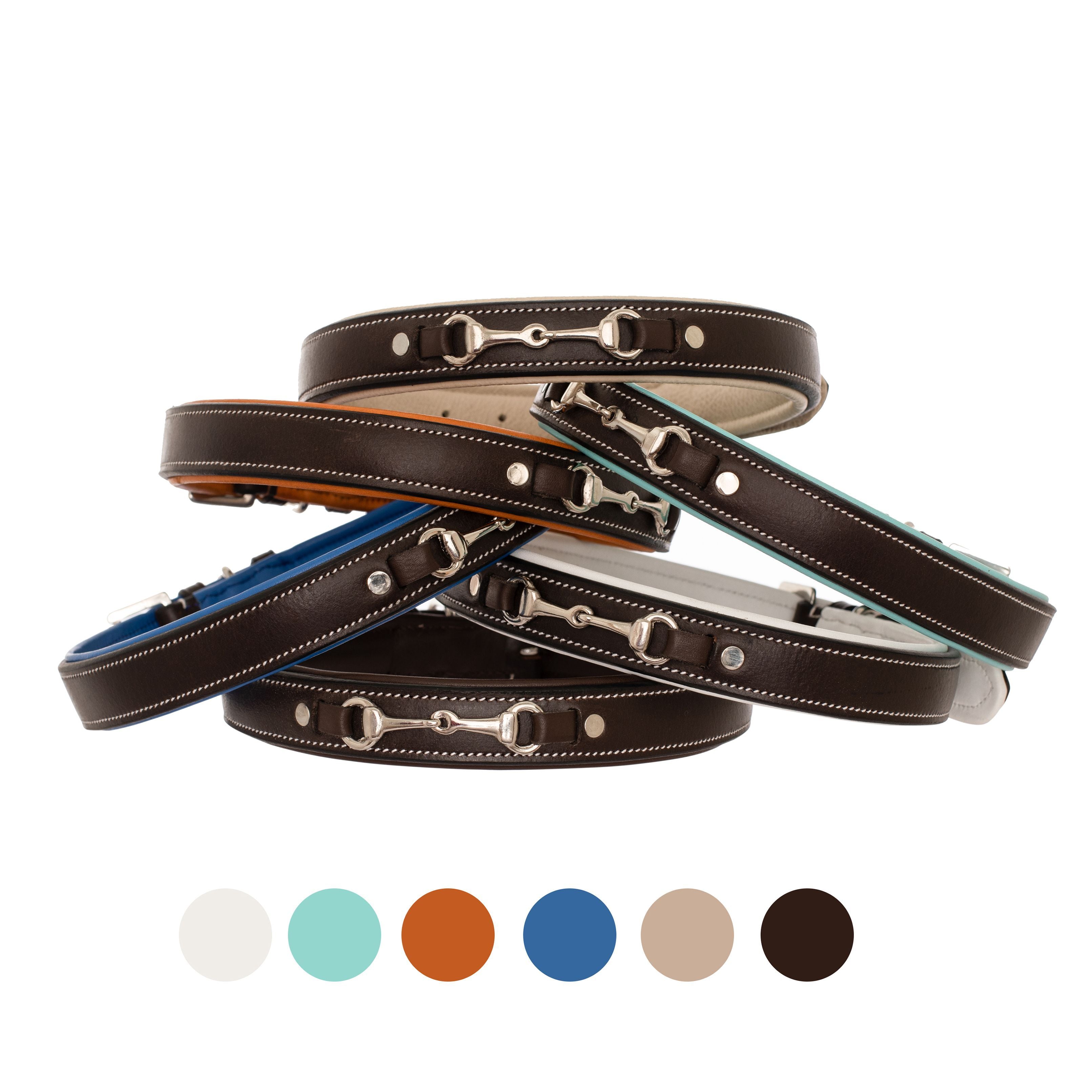 Image of ExionPro Silver Snaffle Padded Leather Dog Collar - Blue Padding