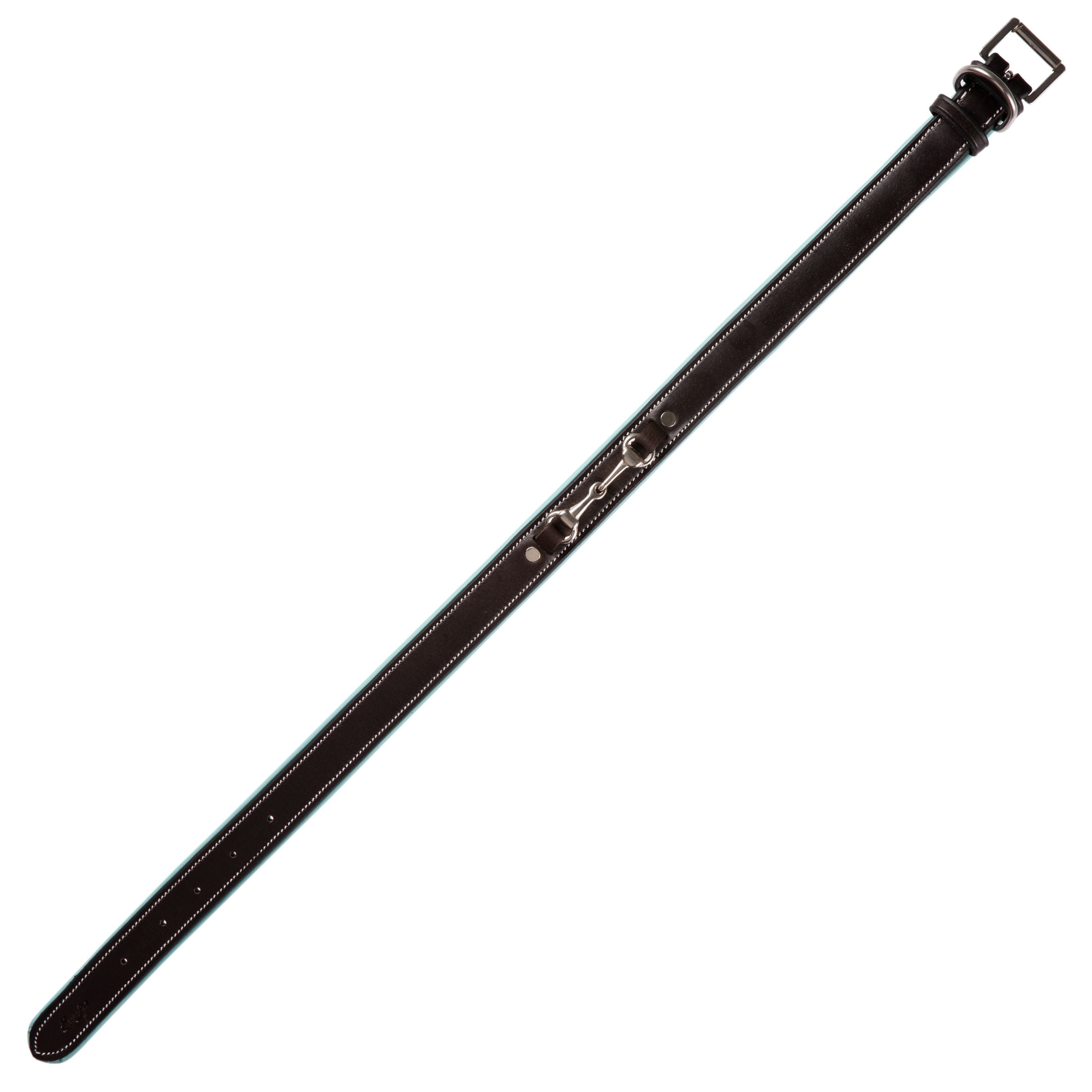 Image of ExionPro Silver Snaffle Padded Leather Dog Collar - Sky Blue Padding