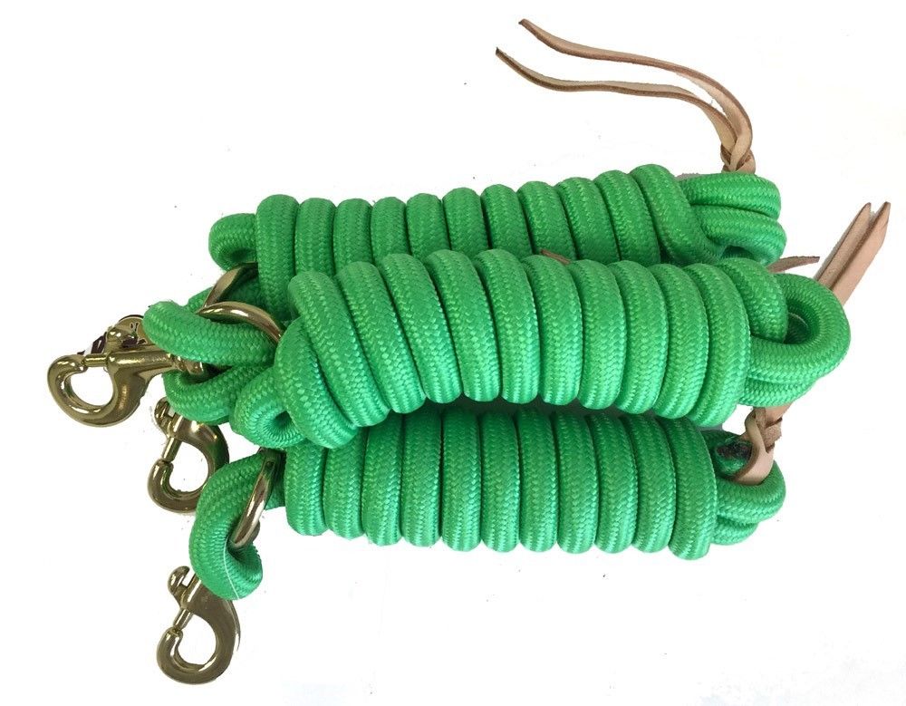 Image of AJ Tack 9 Foot Nylon Lead Rope with Leather Popper - Set of 3