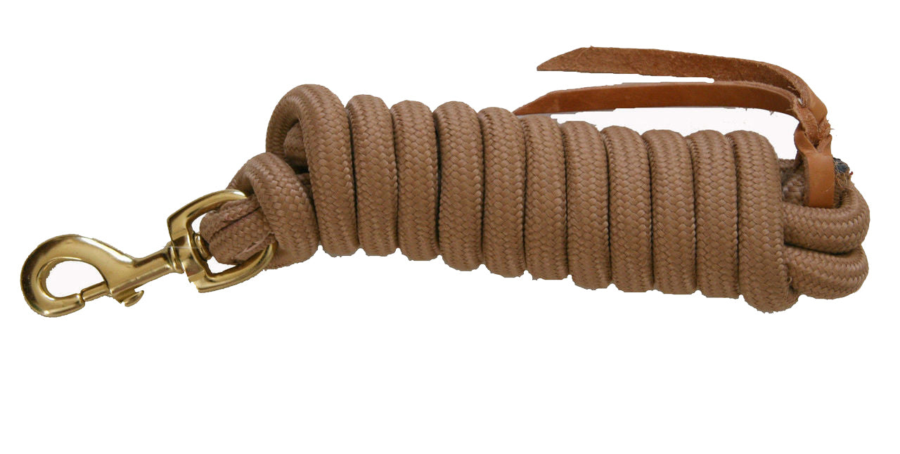 Image of AJ Tack 9 Foot Nylon Lead Rope with Leather Popper