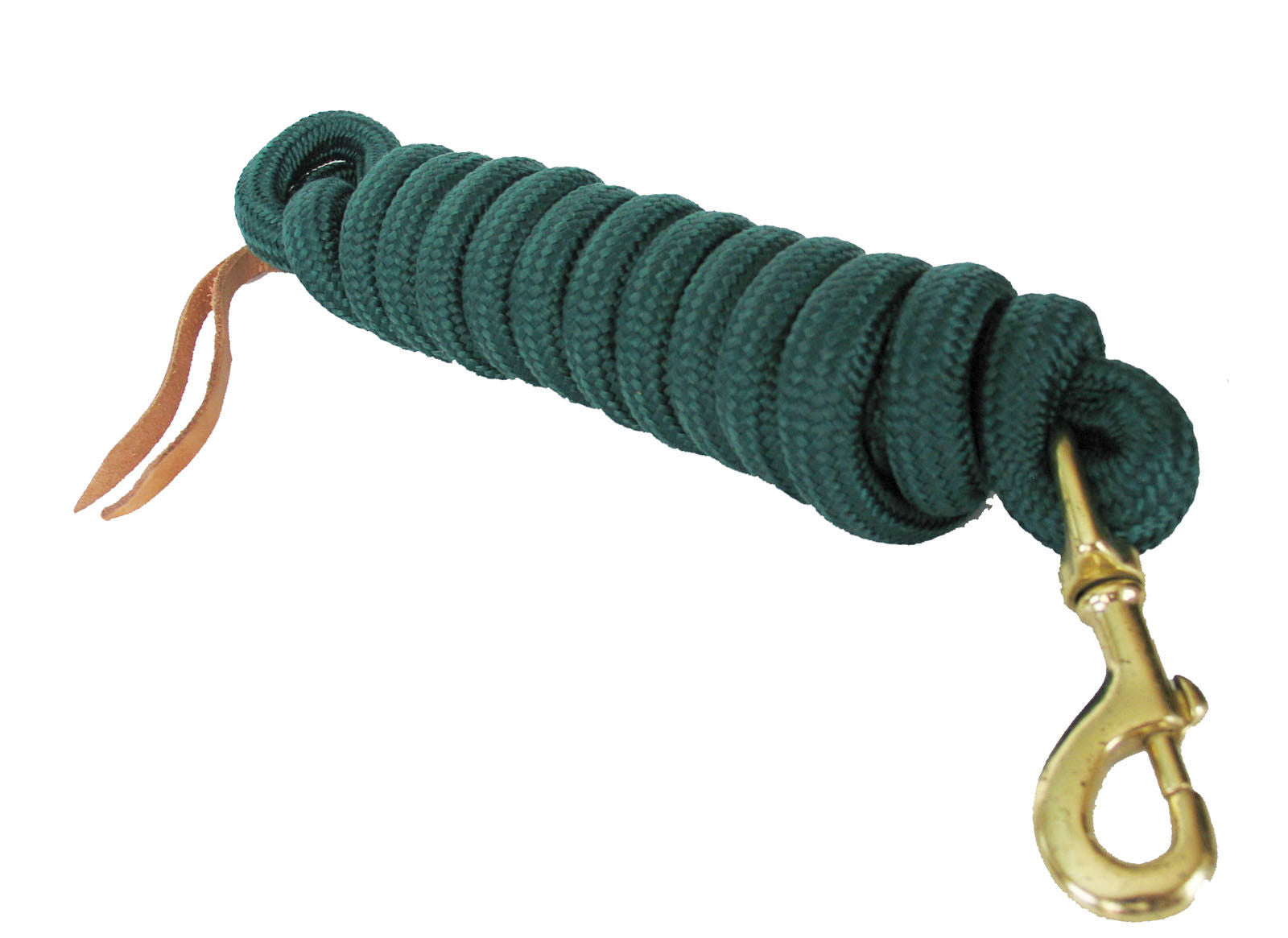 Image of AJ Tack 9 Foot Nylon Lead Rope with Leather Popper