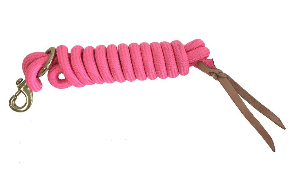 Image of AJ Tack 9 Foot Nylon Lead Rope with Leather Popper