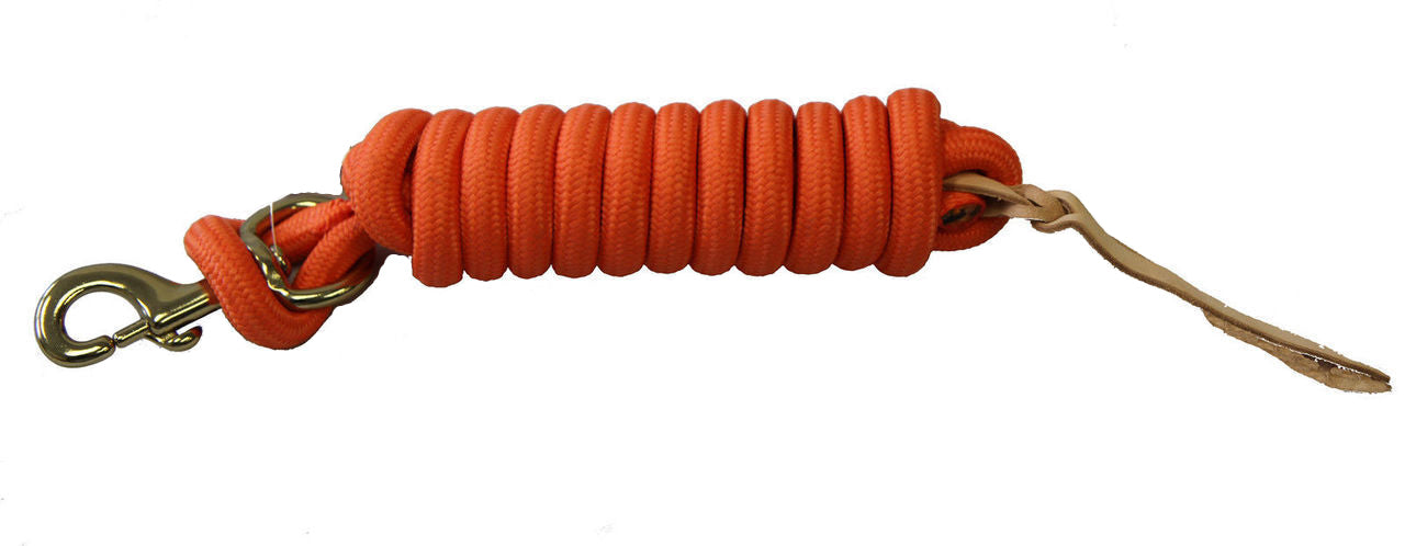 Image of AJ Tack 9 Foot Nylon Lead Rope with Leather Popper