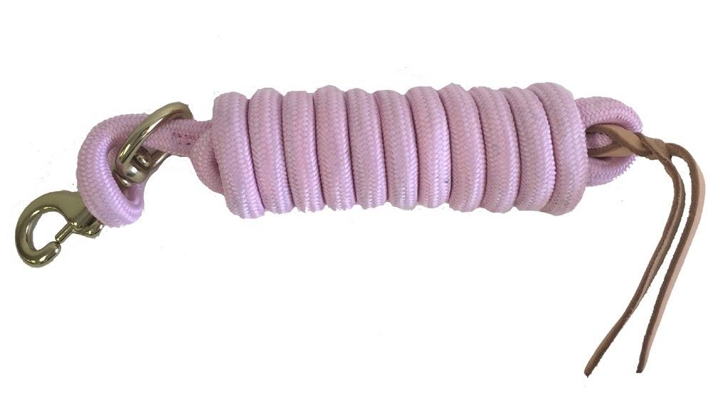 Image of AJ Tack 9 Foot Nylon Lead Rope with Leather Popper