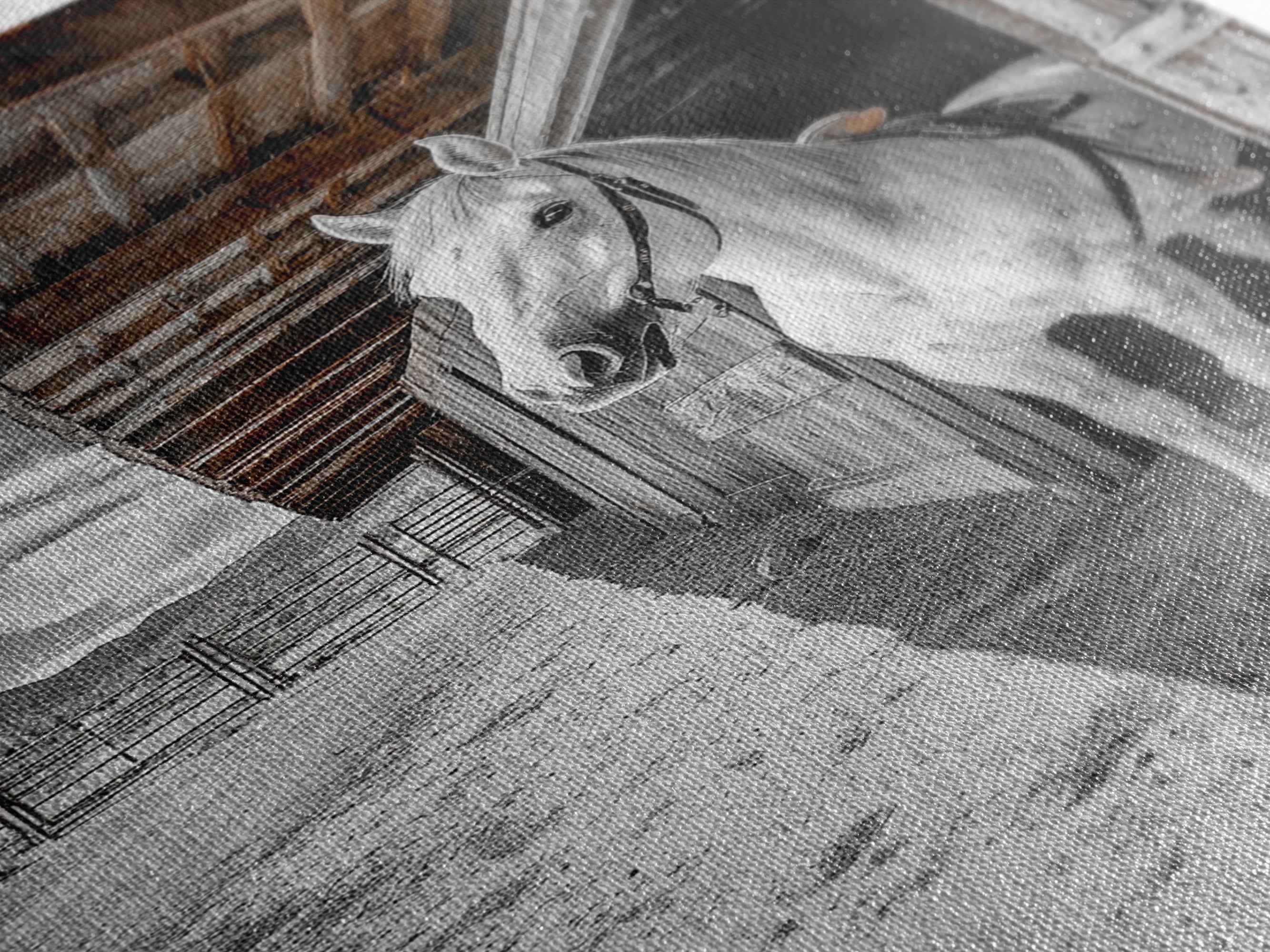 Image of White Horse, Western Ranch, Rustic Stable, Cowboy Framed Canvas Print, Farmhouse Wall Art, Country Living Room Decor, Black White Art