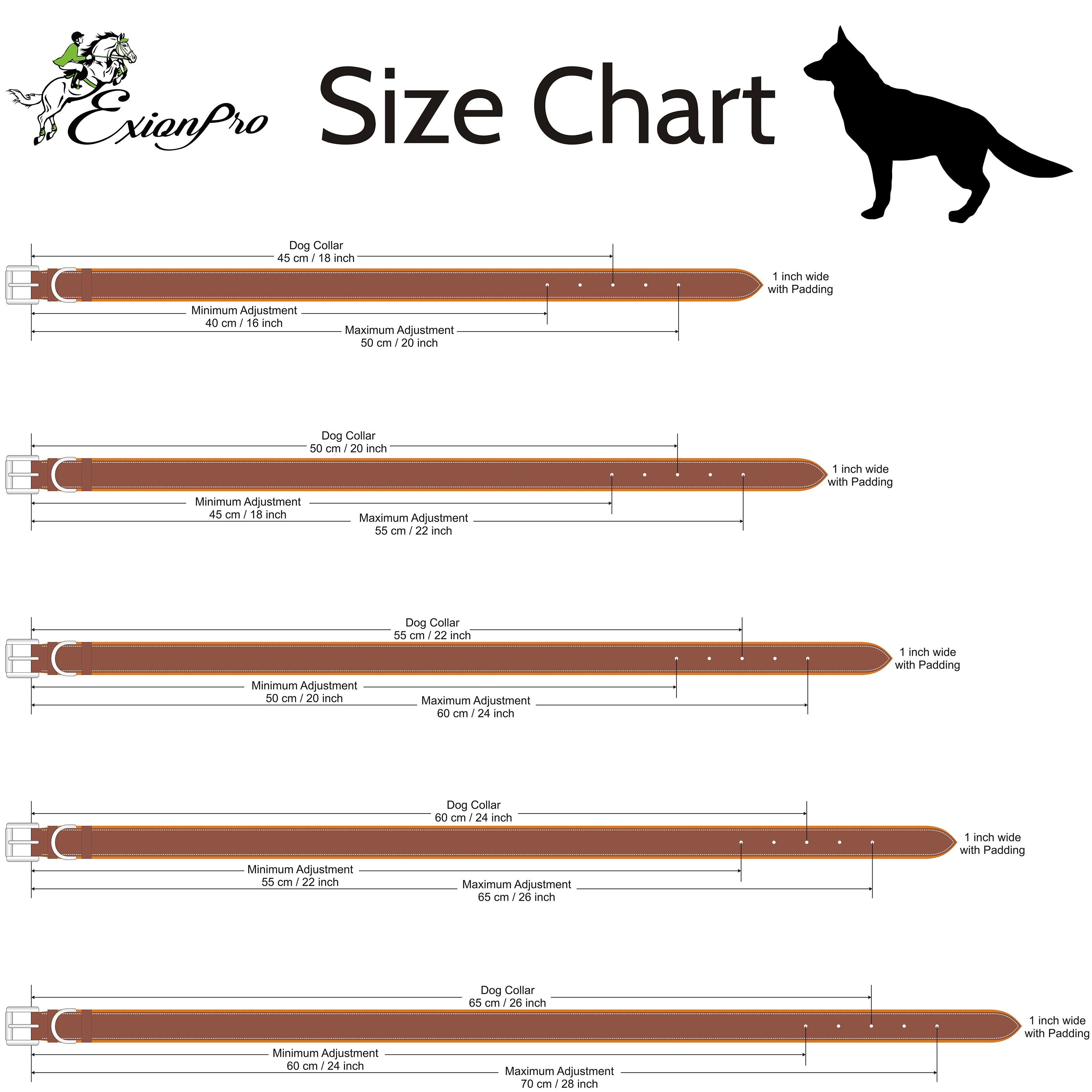 Image of ExionPro Silver Clincher Padded Leather Dog Collar - Brown Padding