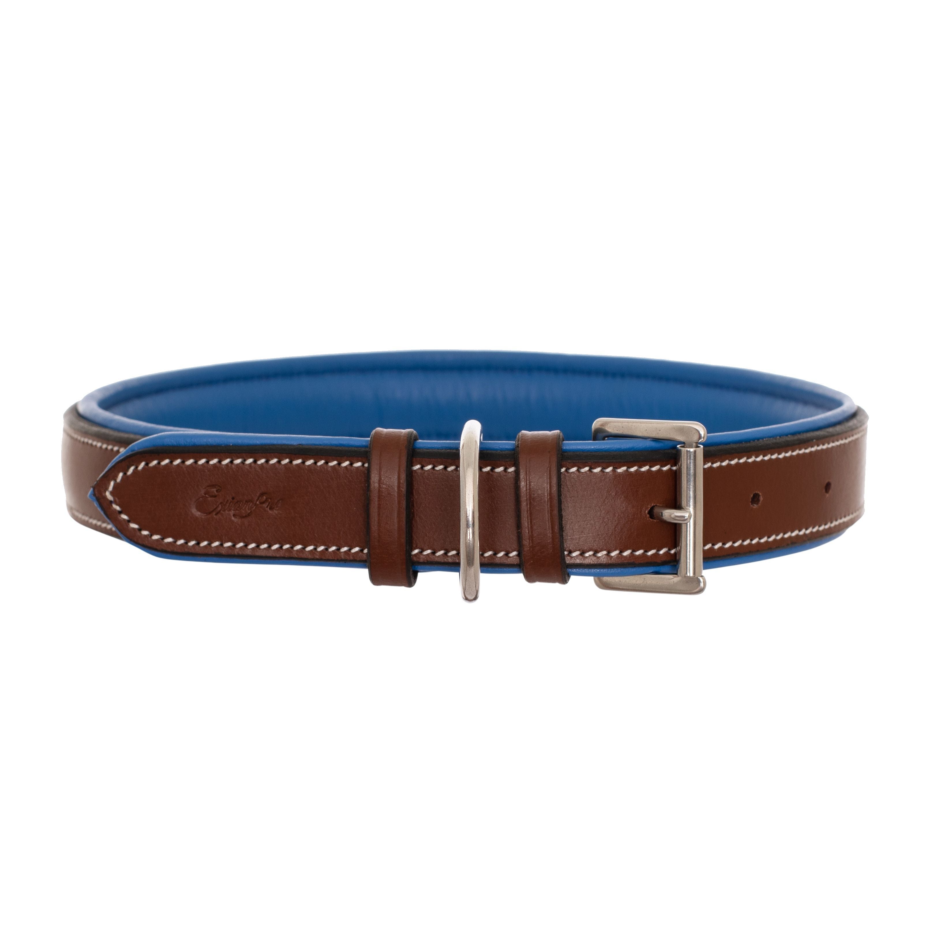 Image of ExionPro Fancy Stitched Padded Leather Dog Collar - Blue Padding