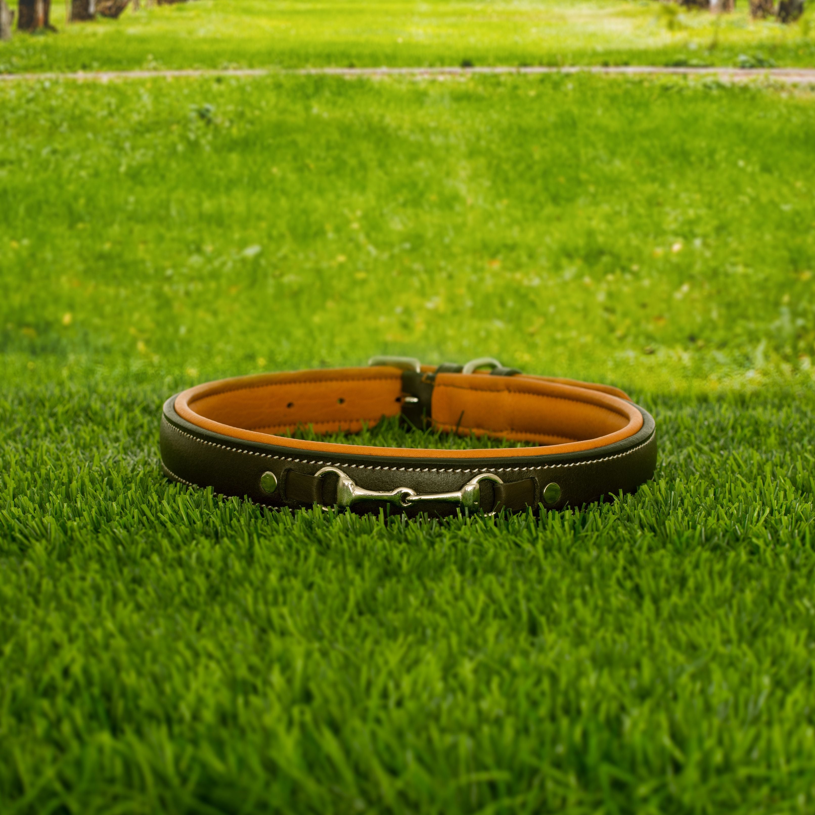 Image of ExionPro Silver Snaffle Padded Leather Dog Collar - Conker Padding