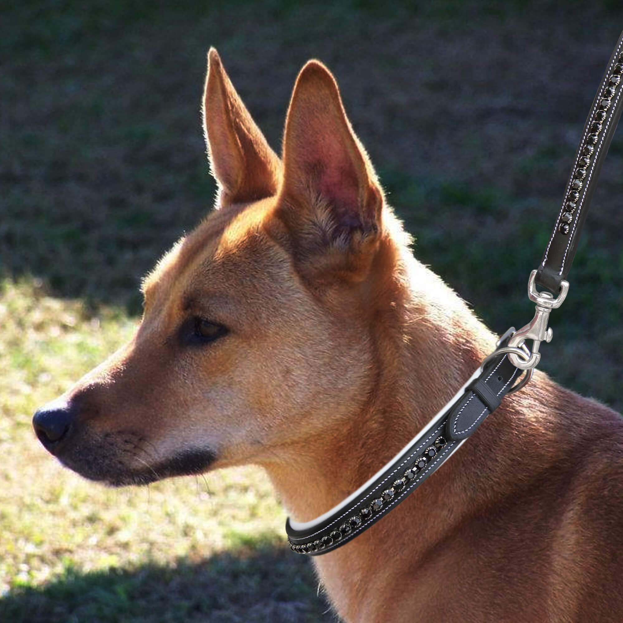 Image of ExionPro Black Bling Dog Collar With Leash