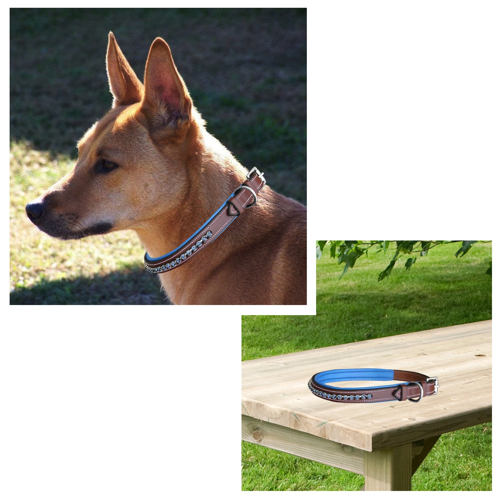 Image of ExionPro Dark Blue Bling Dog Collar With Leash