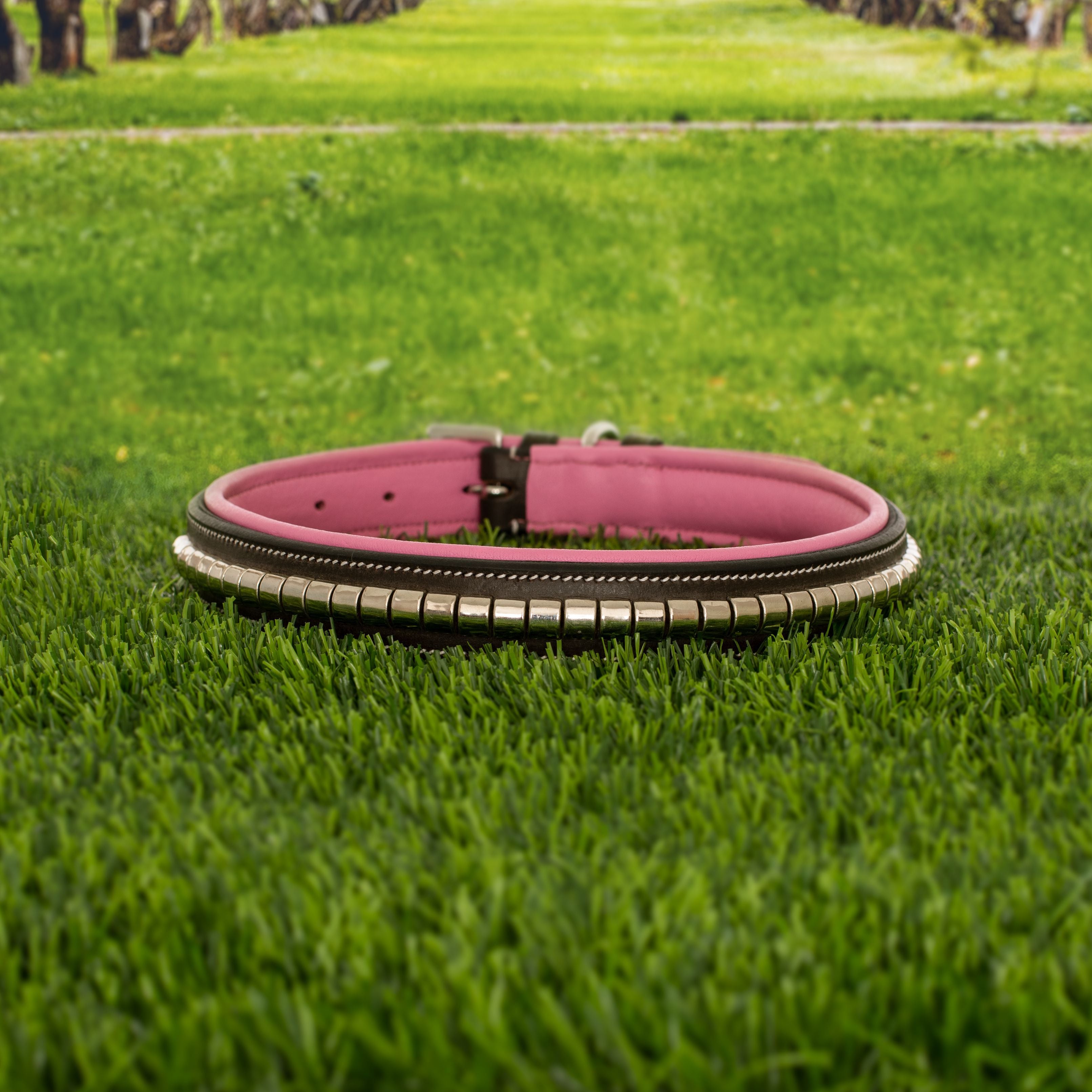 ExionPro Silver Clincher Padded Leather Dog Collar - Pink Padding