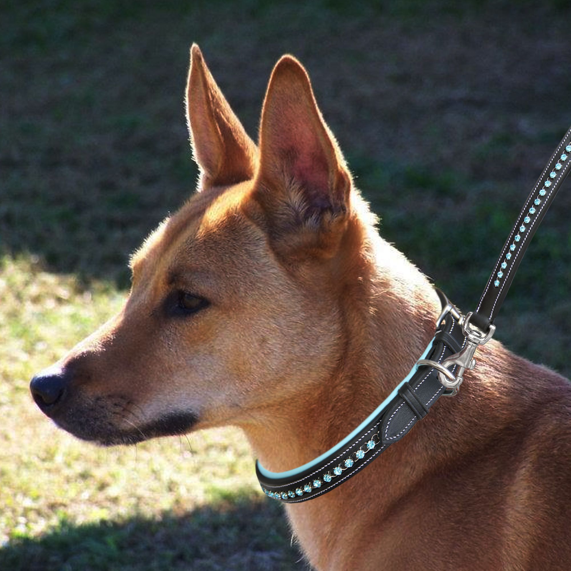 Image of ExionPro Blue Bling Dog Collar