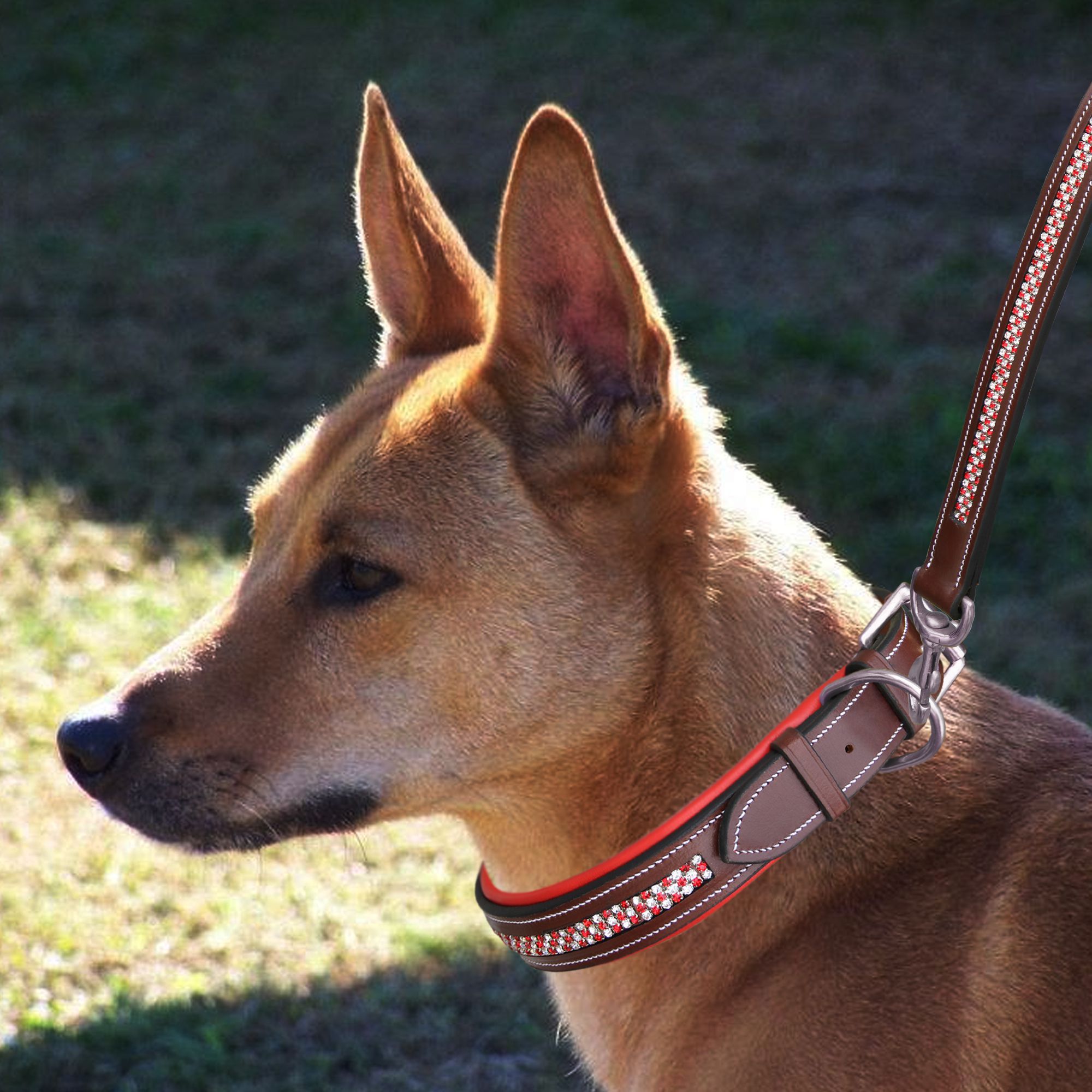 Image of ExionPro Red Bling Padded Dog Leash