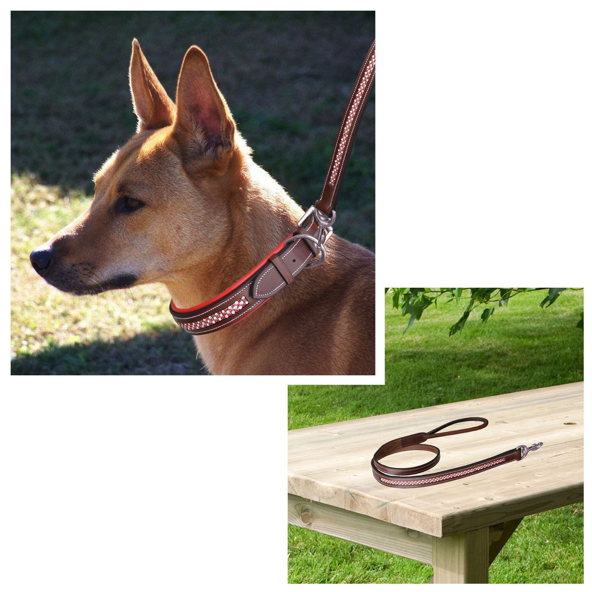 Image of ExionPro Red Bling Padded Dog Leash