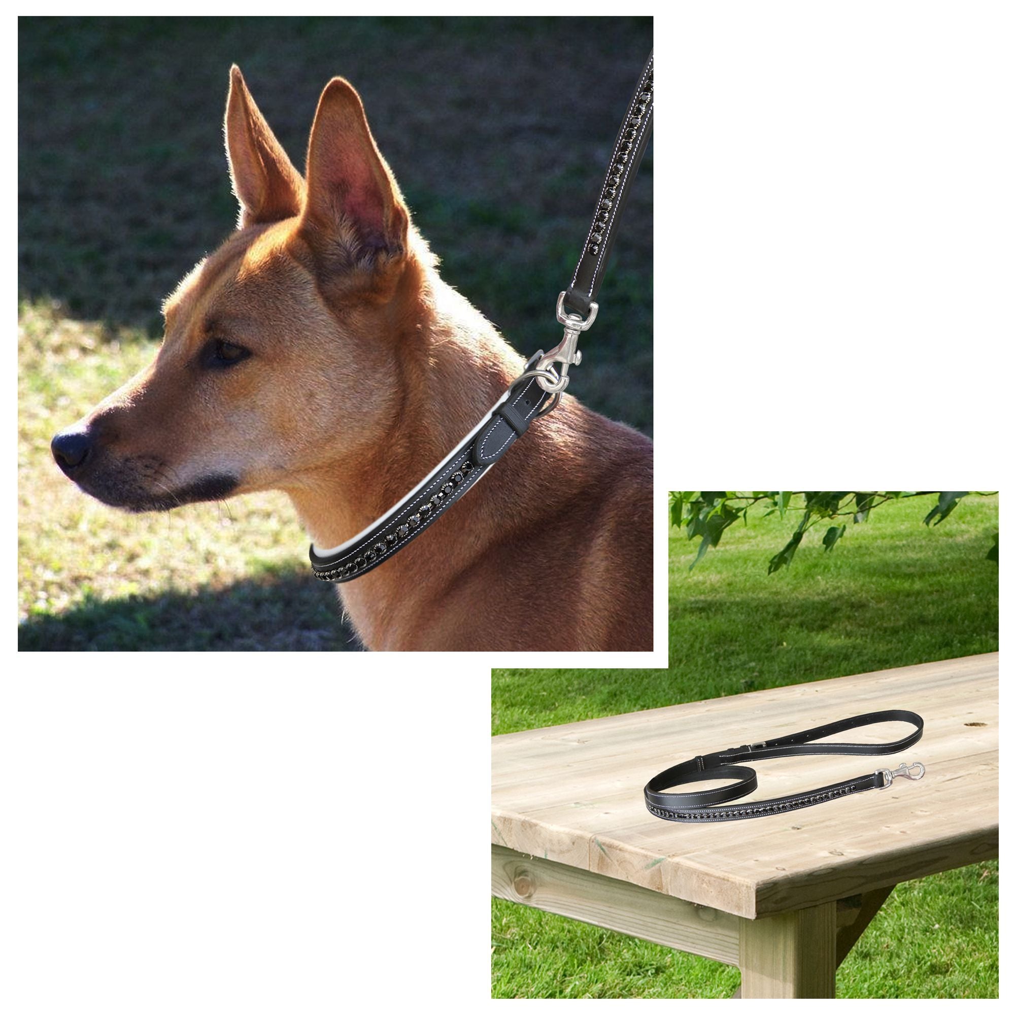 Image of ExionPro Black Bling Dog Leash