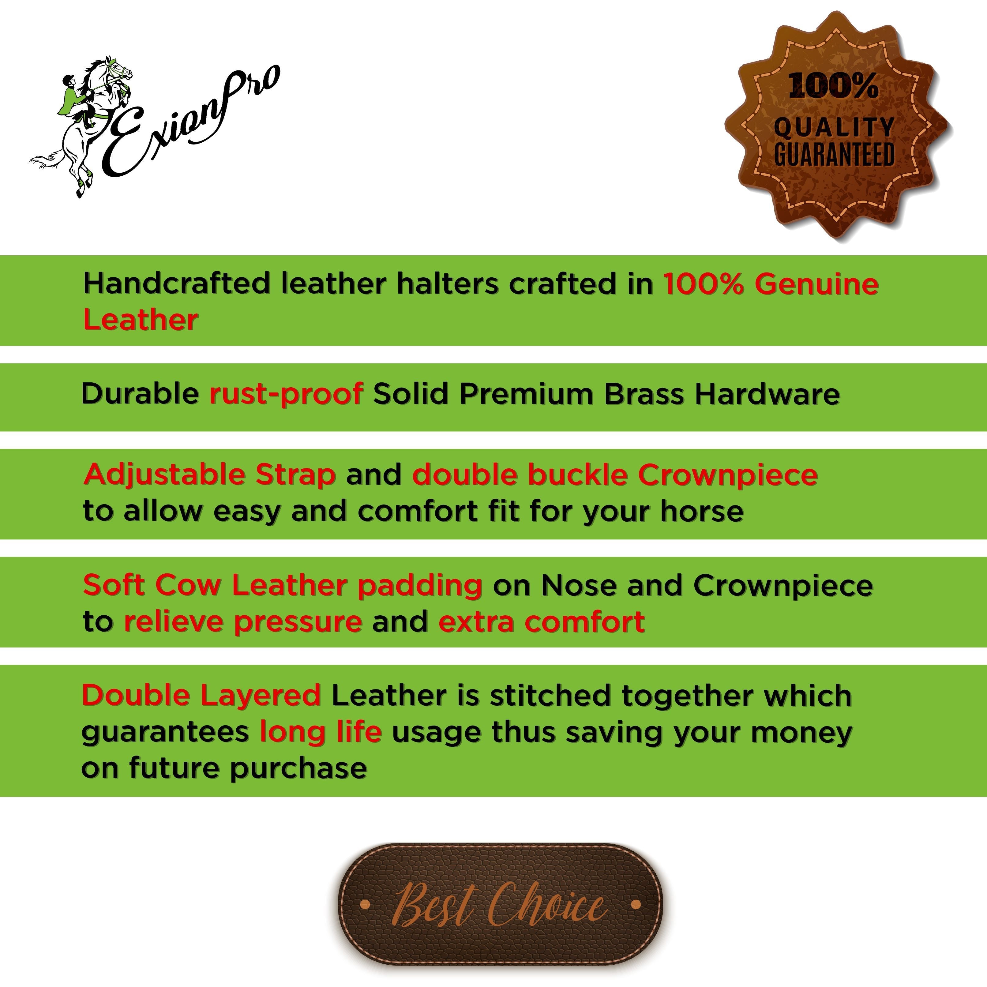 Image of ExionPro Fancy Stitched Halter - Brass Hardware