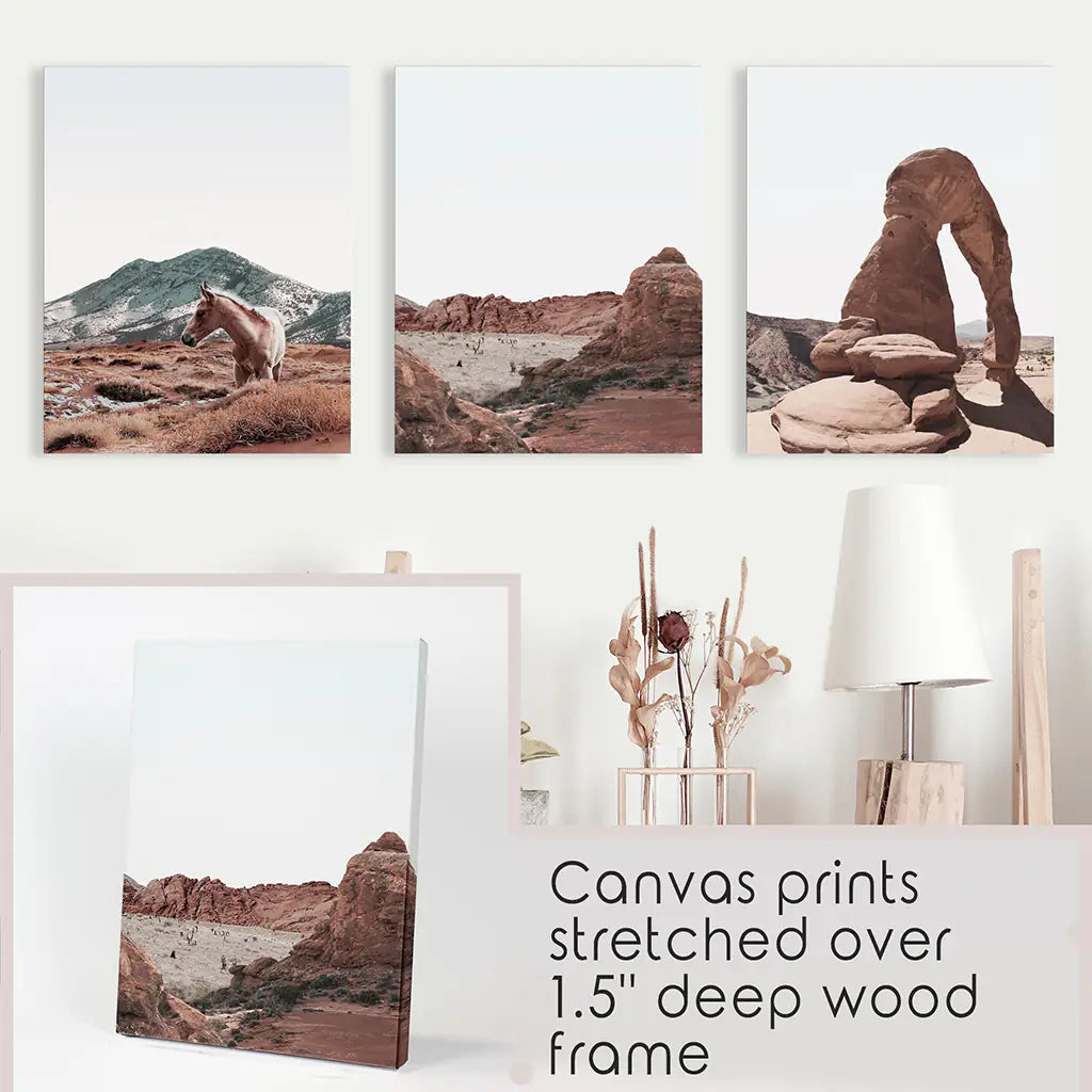 Image of Arches National Park Wall Art Set. Horse in the Desert