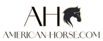 American Horse