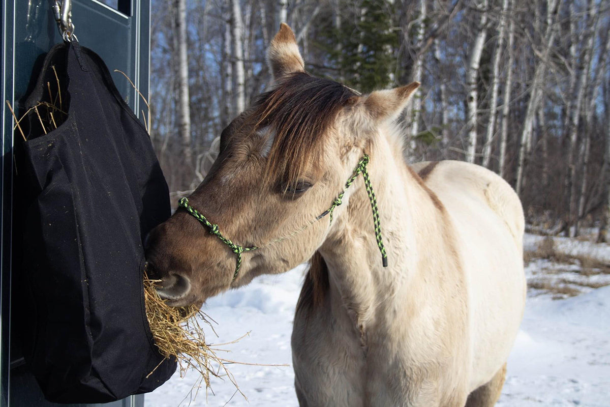 Image of AJ Tack Hay Bag