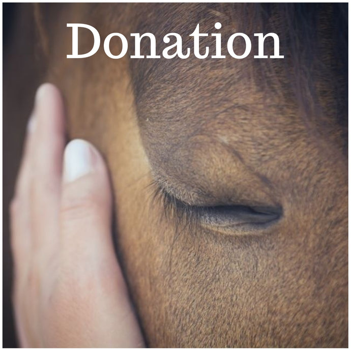 Donation to Save Horses