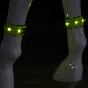 Colorful LED Lighting Horse Leg Straps