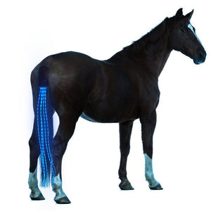 Horse Tail Lights